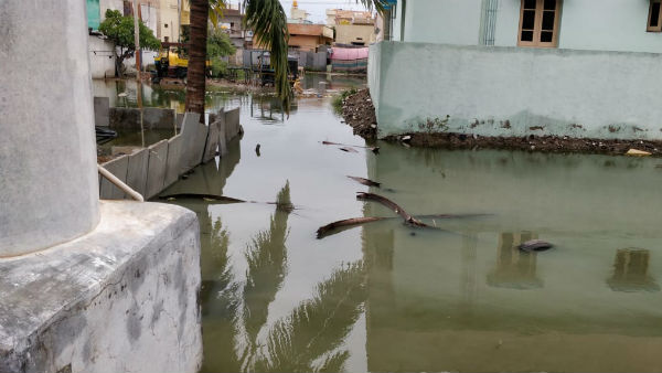ತಗ್ಗು ಪ್ರದೇಶದಲ್ಲಿನ ಹಲವು ಮನೆಗಳು ಜಲಾವೃತ