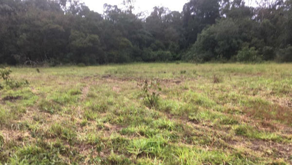 Kodagu: Allegation On Forest Officer For Allowing Vehicle rally In Brahmagiri Forest Area Kodagu: Allegation On Forest Officer For Allowing Vehicle rally In Brahmagiri Forest Area