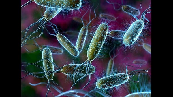 3,245 ಮಂದಿಯಲ್ಲಿ ರೋಗ