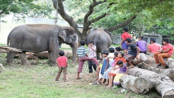  ಮಾವುತ, ಕಾವಾಡಿ ಕುಟುಂಬಗಳಿಗೂ ಇಲ್ಲ ಅವಕಾಶ