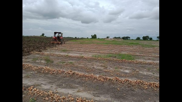 ಮೆಕ್ಕೆಜೋಳ, ಶೇಂಗಾ ಬೇಳೆಯೂ ನಾಶ