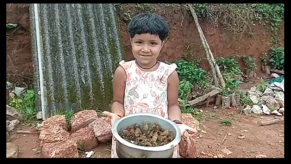  ಏಡಿ ಹಿಡಿಯಲು ಪೈಪೋಟಿ