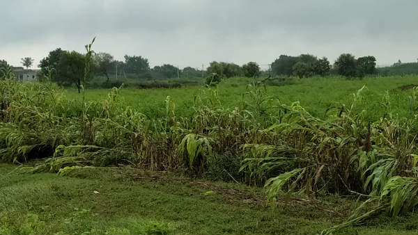 ಜಮೀನಿಗೆ ನುಗ್ಗಿದ ನೀರು