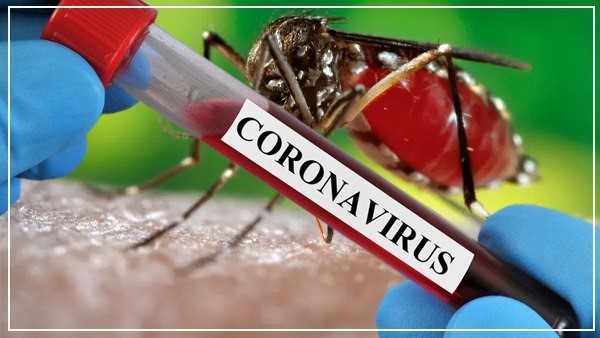 ಸ್ವಲ್ಪ ಎಚ್ಚರ ತಪ್ಪಿದರೂ ಜೀವಕ್ಕೆ ಮಾರಕ 