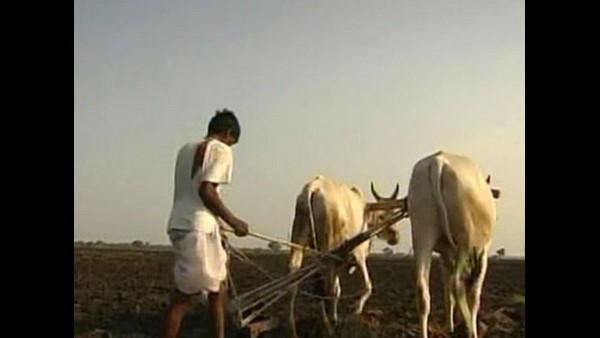ಖರೀದಿಯಲ್ಲಿ ಉತ್ತರ ಪ್ರದೇಶ ಹಿಂದೆ
