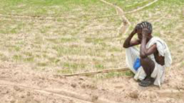 Increased Of Farmer Suicide Cases In India 
