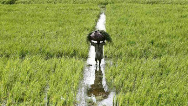  ಕೇಂದ್ರದ ಕೃಷಿ ಮಸೂದೆ, ರೈತರ ಆಕ್ರೋಶ