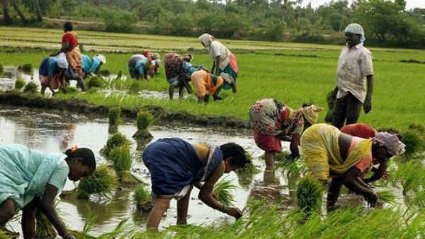  ಯಾವ್ಯಾವ ಮಸೂದೆ
