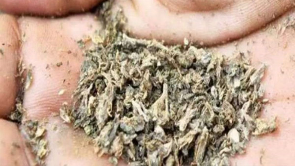  ಕೊಡಗಿನಲ್ಲಿ ಪ್ರವಾಸಿಗರೇ ಟಾರ್ಗೆಟ್ 