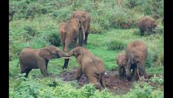  ಒಂದೊಳ್ಳೆಯ ಪ್ರವಾಸಿ ತಾಣವೂ ಹೌದು 