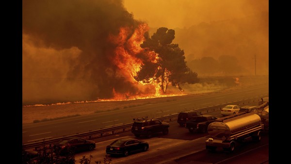  ಪ್ರತಿದಿನ 25 ಮೈಲು ಕಾಡು ಭಸ್ಮ 