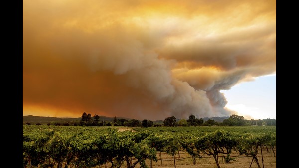 ಮಾಜಿ ಅಧ್ಯಕ್ಷ ಒಬಾಮಾಗೆ ಆತಂಕ