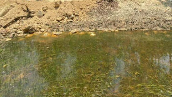 Narasingaraya Decided To Conduct Essay For Students On Village Lake Problem