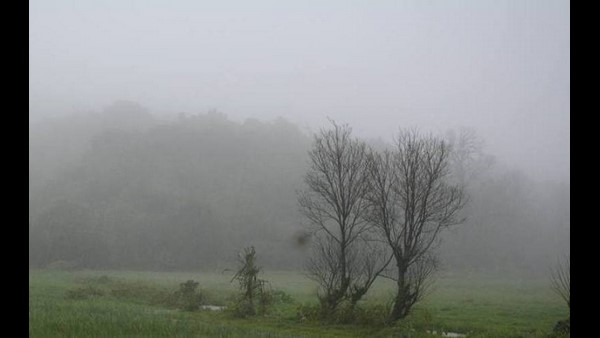  2018ರಲ್ಲಿ ಸುರಿದಿತ್ತು ಮಹಾಮಳೆ