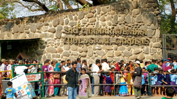  ಮೈಸೂರು ಪ್ರವಾಸಿಗರನ್ನು ಸೆಳೆಯುವುದೇಕೆ? 