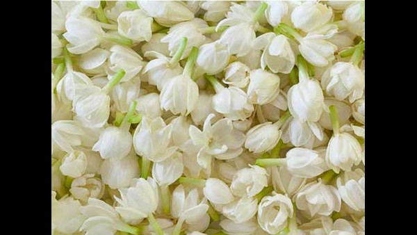 ನೀವೂ ಭೇಟಿ ನೀಡಿ