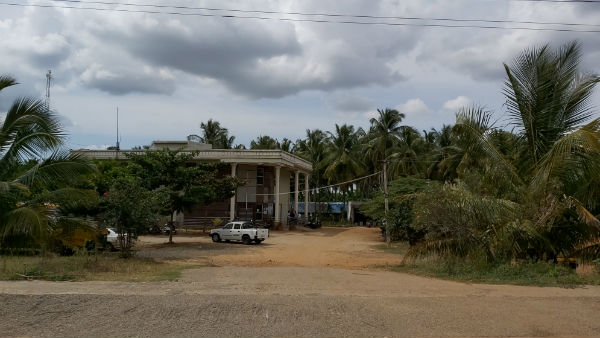 Mandya: Over 300 Plants Grown At Transport Office At Nagamangala