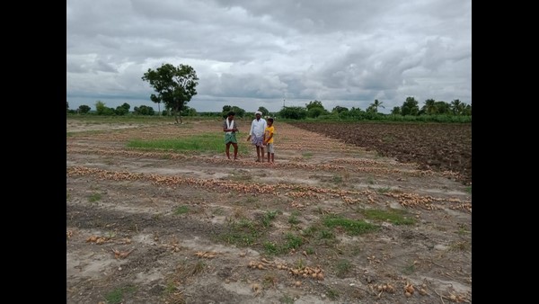 ಚಿತ್ರದುರ್ಗದ ಎಲ್ಲೆಲ್ಲಿ ಈರುಳ್ಳಿ ನಾಶವಾಗಿತ್ತು?