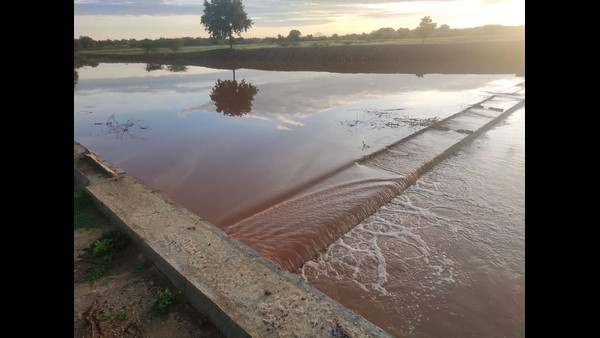  ಜಿಲ್ಲೆಯಲ್ಲಿ 20981 ಹೆಕ್ಟೇರ್ ಪ್ರದೇಶದಲ್ಲಿ ಈರುಳ್ಳಿ ಬಿತ್ತನೆ