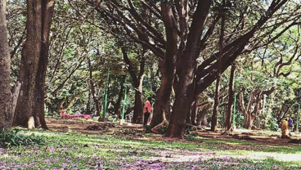 ವಾಹನ ಸಂಚಾರ ಹೆಚ್ಚಾಗಲಿದೆ ವಾಹನ ಸಂಚಾರ ಹೆಚ್ಚಾಗಲಿದೆ