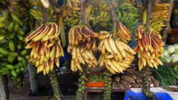 ದೇವರಾಜ ಮಾರುಕಟ್ಟೆಯಲ್ಲಿ ಬಾಳೆ ಹಣ್ಣಿನ ಘಮ 