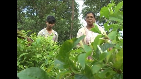 Udupi: Special Demand For Shankarapura Jasmine Flower 