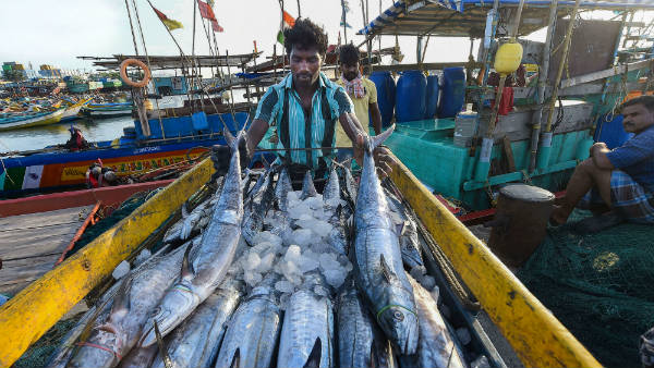 What is Pradhan Mantri Matsya Sampada Yojana in Kannada