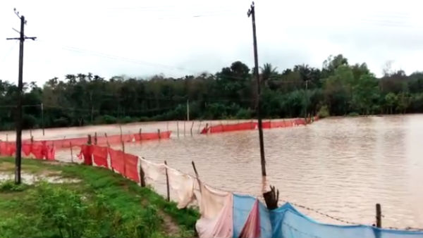 Heavy Rain Continued In Chikkamagaluru District