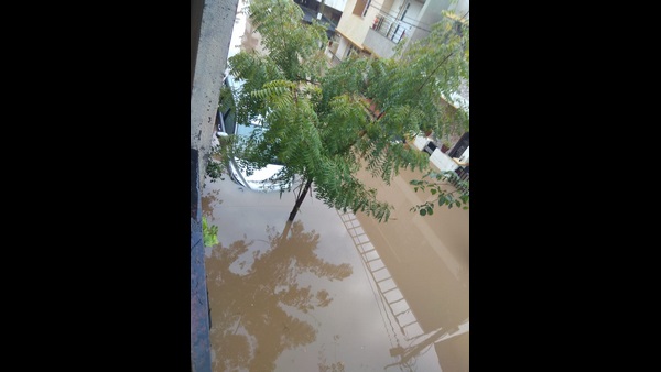 350 ಮನೆಗಳಿಗೆ ನೀರು ನುಗ್ಗಿದೆ 