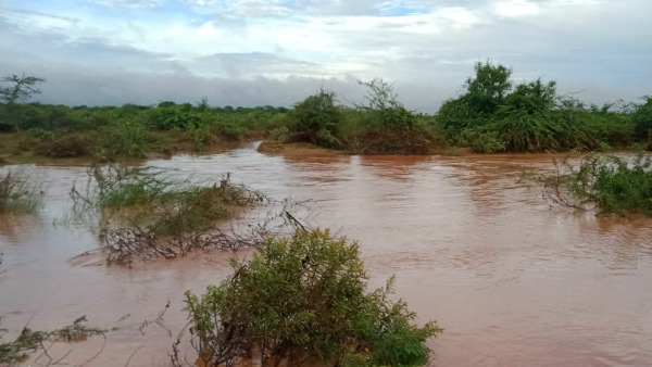7.40 ಲಕ್ಷ ರೂ ಕೃಷಿ ಬೆಳೆ ನಷ್ಟ 7.40 ಲಕ್ಷ ರೂ ಕೃಷಿ ಬೆಳೆ ನಷ್ಟ