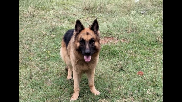 ರಾಣಾನ ಸಾಧನೆಗೆ ಸಾಟಿಯಿಲ್ಲ 