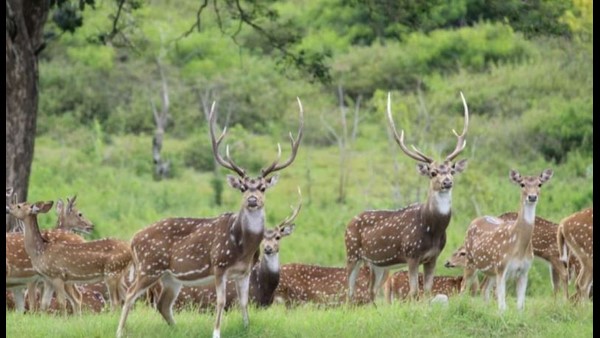 ರಿಲ್ಯಾಕ್ಸ್ ಮೂಡ್ ನಲ್ಲಿ ಪ್ರವಾಸಿಗರು