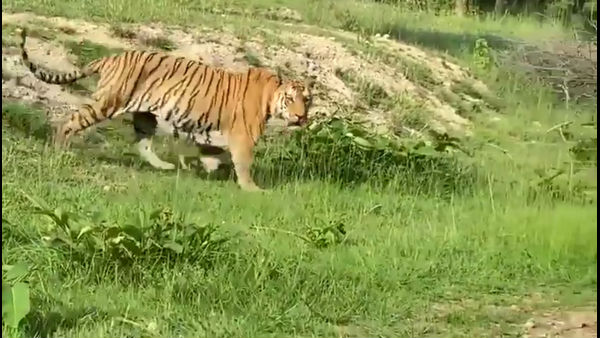  ಶಾಶ್ವತ ಯೋಜನೆ ರೂಪಿಸಿ 