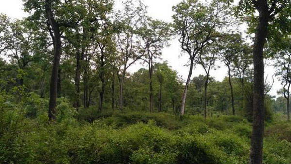  ಪ್ರತ್ಯೇಕ ಜಿಲ್ಲೆ ಮಾಡಿದರೂ ಬಗೆಹರಿಯದ ಸಮಸ್ಯೆ