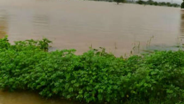 ಎಲ್ಲಿ, ಎಷ್ಟು ಮಳೆ?