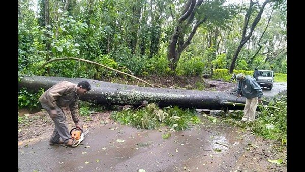 40 ರಿಂದ 50 ವಿದ್ಯುತ್ ಕಂಬಗಳು ಧರೆಗುರುಳಿವೆ