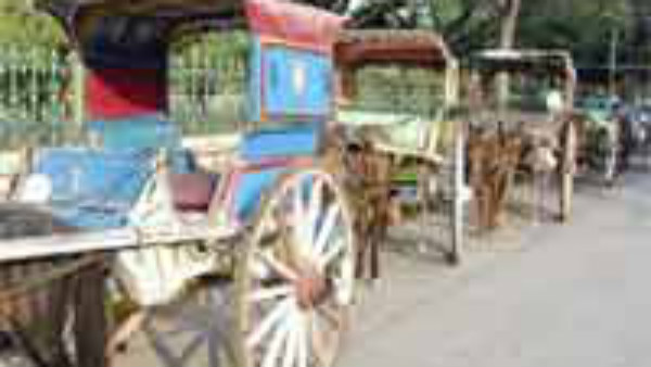 ಟಾಂಗಾ ಗಾಡಿ ಎಲ್ಲೆಂದರಲ್ಲಿ ನಿಲ್ಲಿಸುವಂತಿಲ್ಲ! 