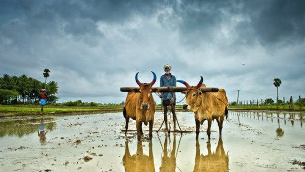 Koppal: Taluk level Rain record, weather report in October 