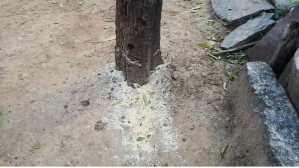 ತಂದೆಗಾಗಿ ಗ್ರಾಮಸ್ಥರೊಡನೆ ಹುಡುಕಾಟ ತಂದೆಗಾಗಿ ಗ್ರಾಮಸ್ಥರೊಡನೆ ಹುಡುಕಾಟ