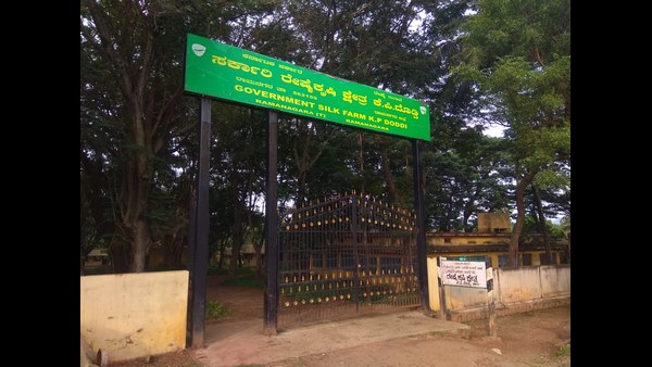 ಕೆ.ಪಿ ದೊಡ್ಡಿ ಬಳಿಯ ಸಿಲ್ಕ್ ಫಾರಂ ನಲ್ಲಿ ನಿರ್ಮಾಣ