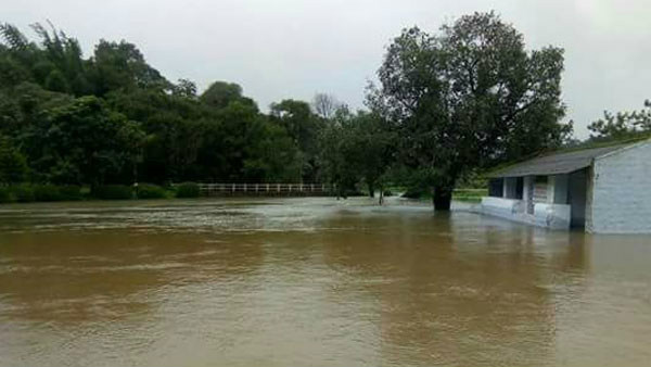 ಮುನ್ಸೂಚನೆ 