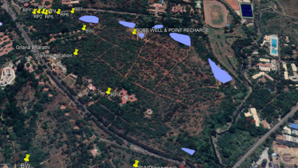 60-70 ವಿವಿಧ ಜಾತಿಯ ಔಷಧೀಯ ಮರಗಳಿವೆ