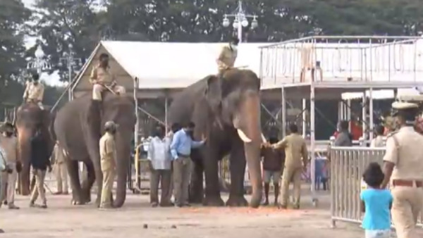 ತಾಲೀಮಿನ ವೇಳೆ ಅಶ್ವಗಳು ವಿಚಲಿತಗೊಂಡಿವೆ