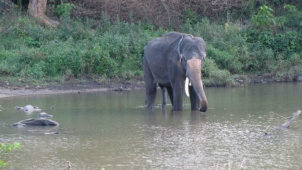 ಚೆಕ್ ಡ್ಯಾಂ ಮಾದರಿಯ ಕಟ್ಟೆ ನಿರ್ಮಾಣ