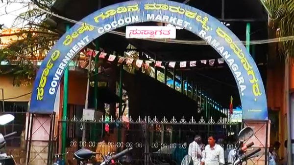 ರೇಷ್ಮೆ ಬೆಳೆಗಾರರ ಆಕ್ರೋಶ