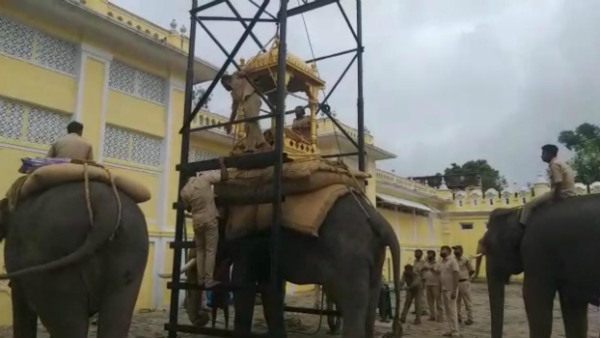 Mysuru Dasara Elephant Gopi Carried Wood Ambari Workout