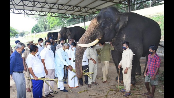  ಸಾಮರ್ಥ್ಯ ಸಾಬೀತು ಮಾಡಿದ ಅಭಿಮನ್ಯು