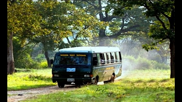  ದಿನಕ್ಕೆ ನಾಲ್ಕು ಬಾರಿ ಸಫಾರಿ