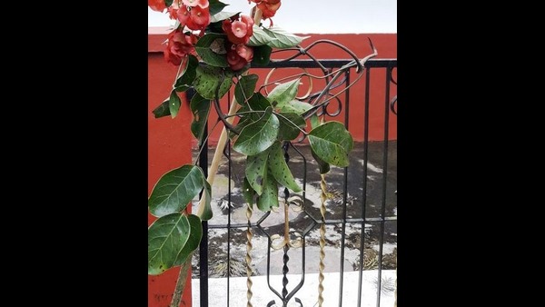  ಮನೆಯಲ್ಲಿ ತೀರ್ಥಕ್ಕೆ ಪೂಜೆ 