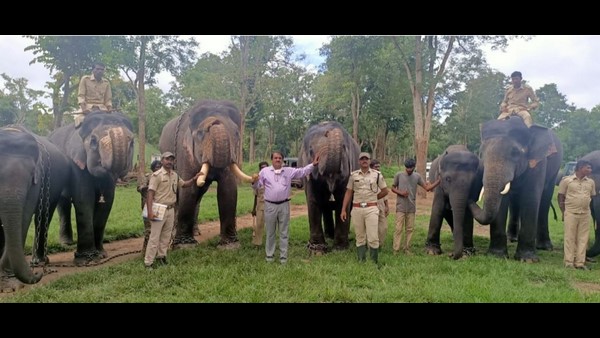 ದಸರಾ ನೆನಪನ್ನು ಮೆಲುಕು ಹಾಕಬೇಕಾಗಿದೆ